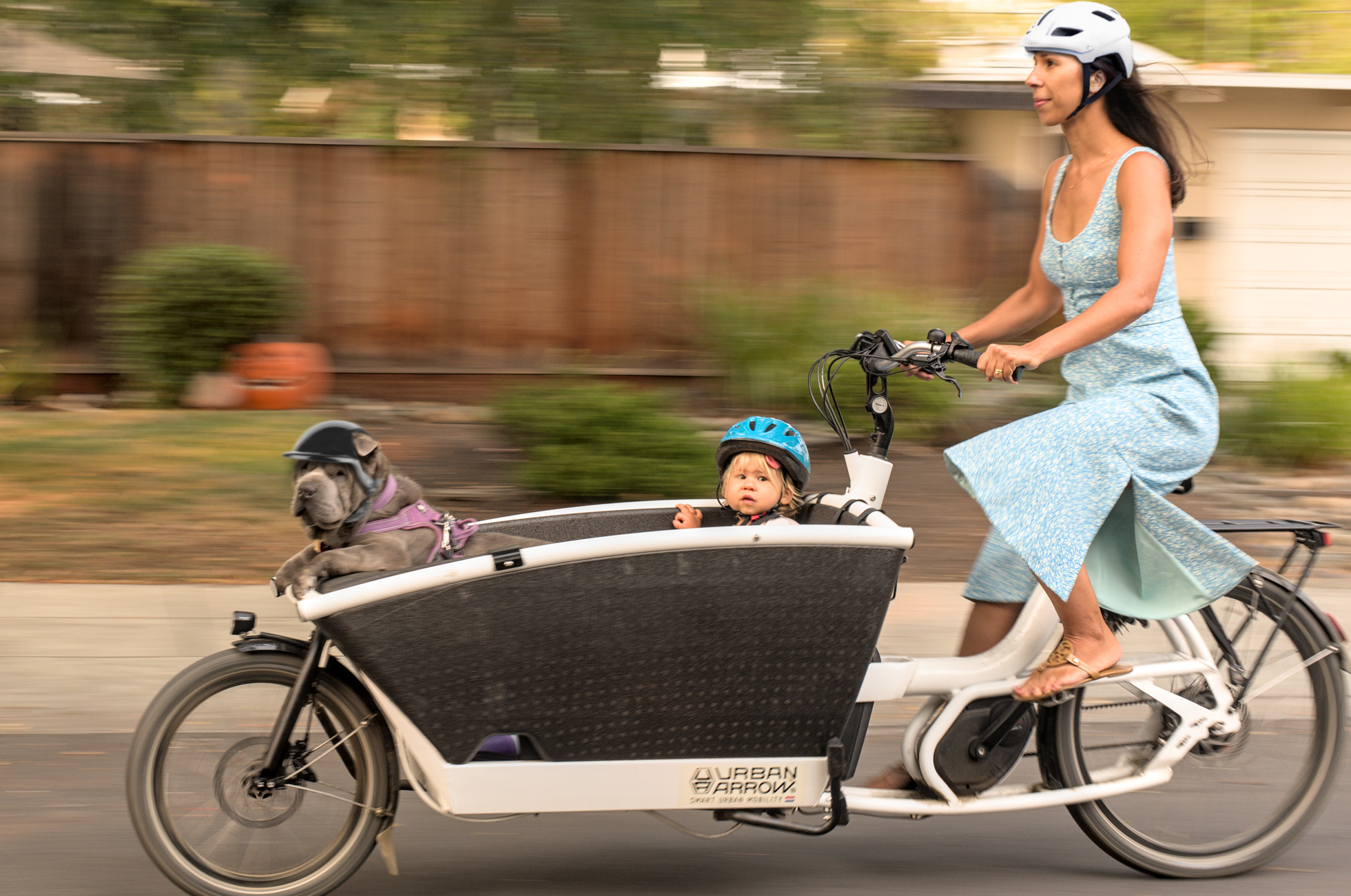 Nicole Boelens - Cargo Bikes - Happiest Transportation on Earth - Stanford University Transportation