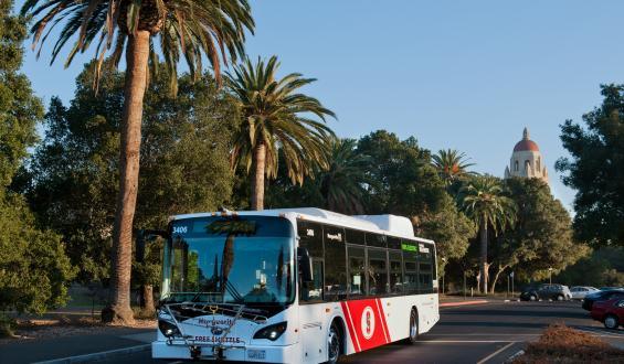 Marguerite bus with Palm trees