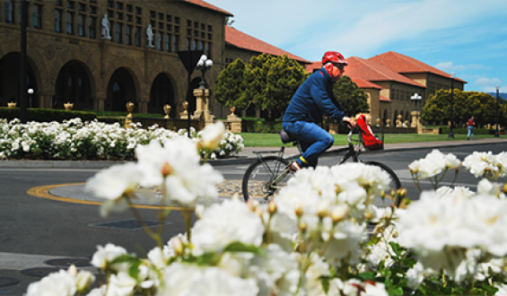 Bicyclist on Stanford Campus